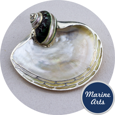 8258-P16 - Silver Edge Dish with Shell Accent - Mother of Pearl