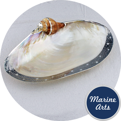 8270-P20 - Silver Edge Dish with Shell Accent - Cabebe Clam