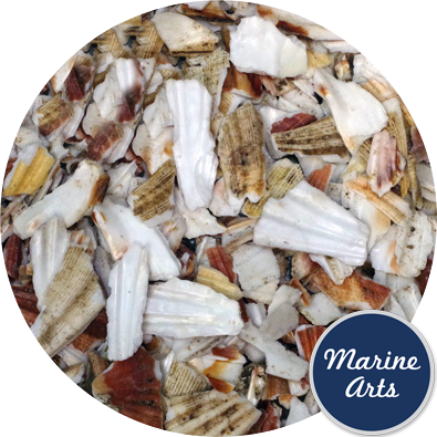8957 - Crushed Shell - Natural Scallop Footpath