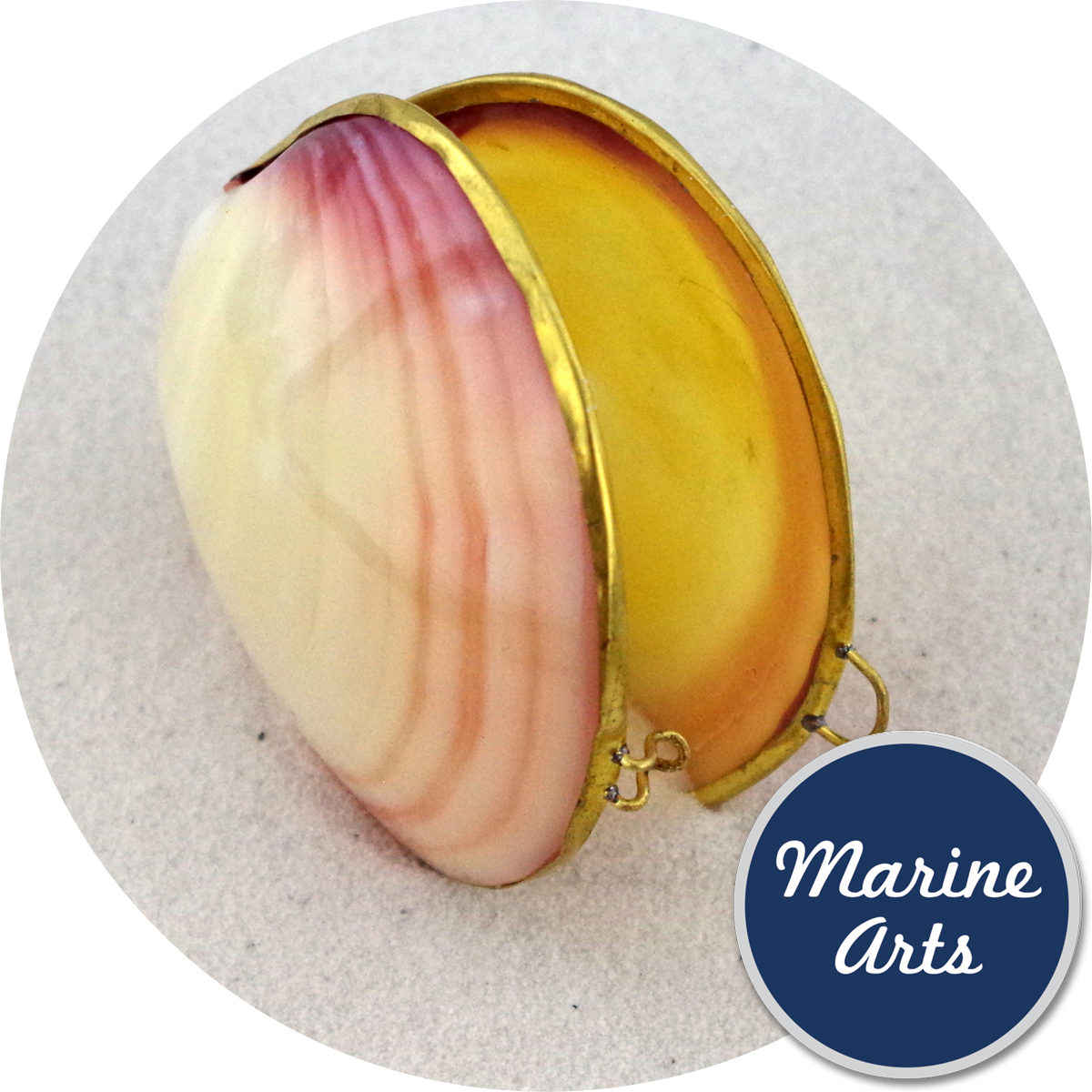 8315 - Polished Shell Purse - Tigrina Clam